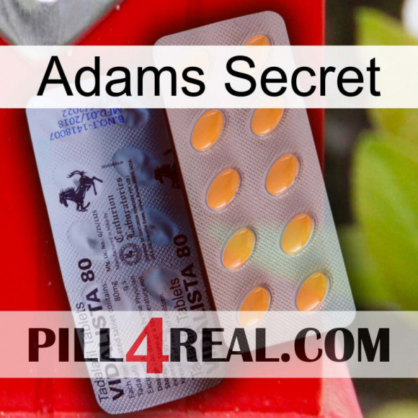 Adams Secret 44.jpg